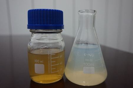 【按右鍵影像屬性置入圖片】