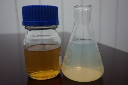 【按右鍵影像屬性置入圖片】