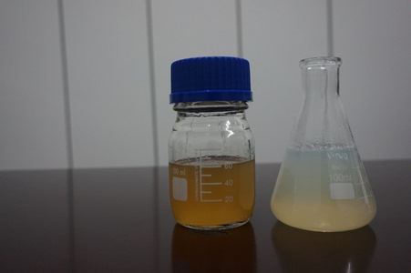 【按右鍵影像屬性置入圖片】