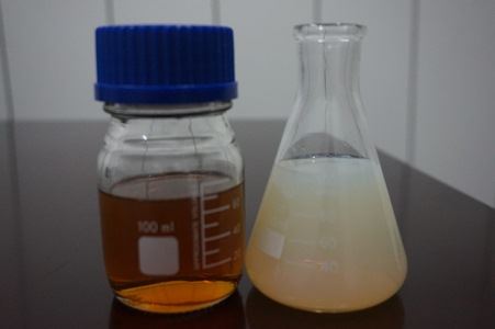 【按右鍵影像屬性置入圖片】